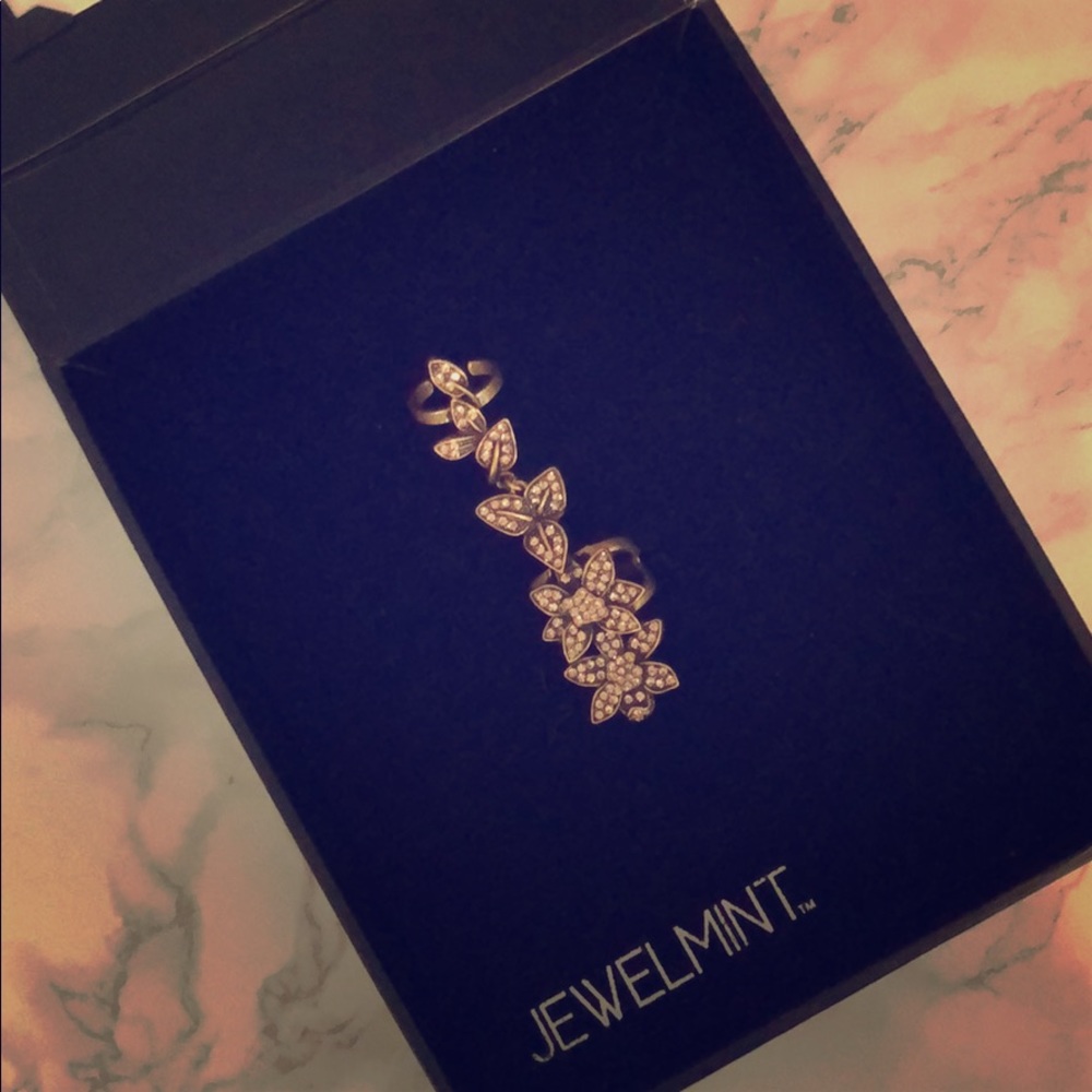 Jewelmint ring